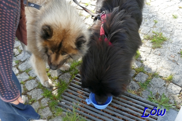 19.4.2025 - Bergwasser